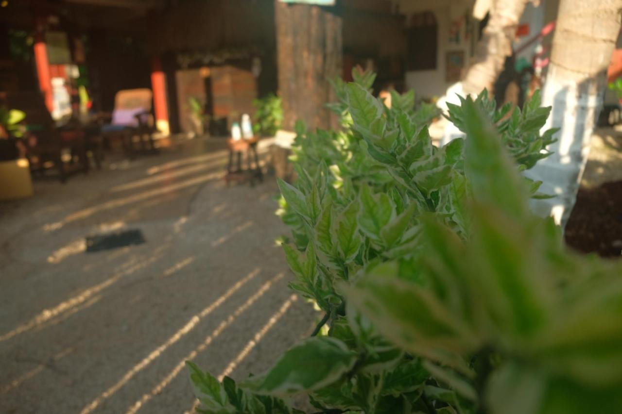 Near Lake Hostal Bacalar Εξωτερικό φωτογραφία